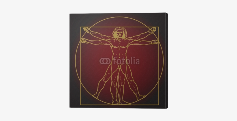 Vitruvian Man Vector, transparent png