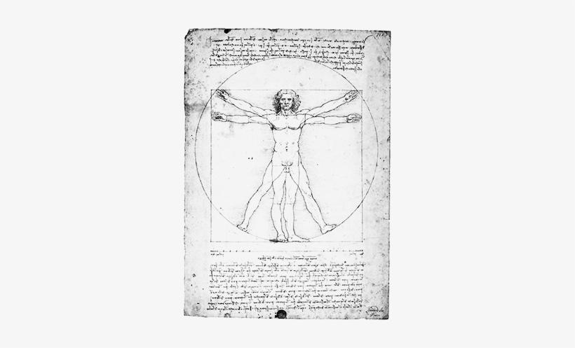 Caesariano's Vitruvian Man Caesariano's Vitruvian Figure - Leonardo Da Vinci, transparent png