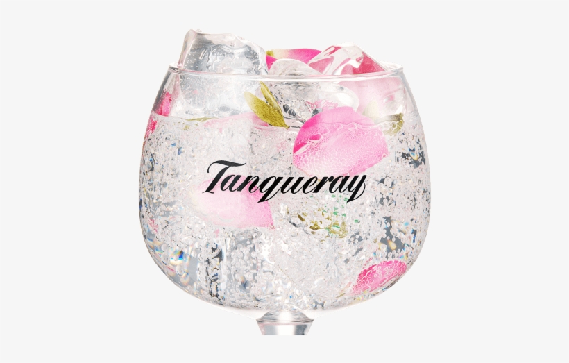 Tanqueray, transparent png