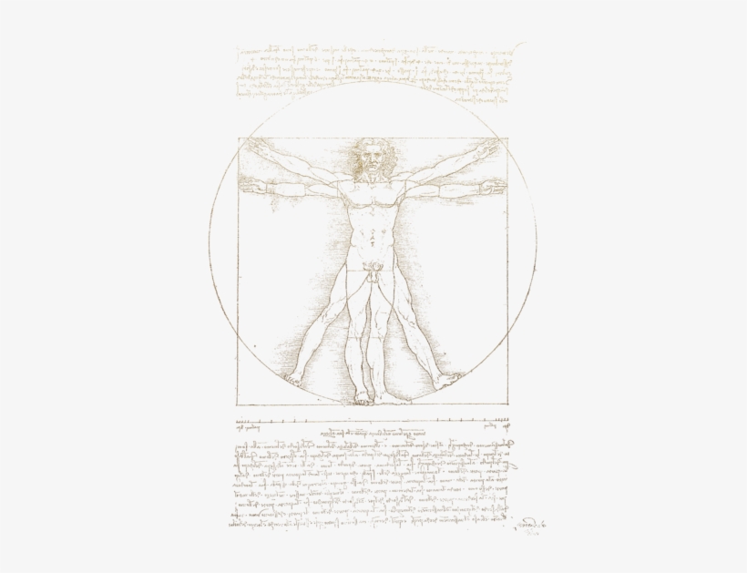Vitruvian Man By Leonardo Da Vinci In Gold On Black - Leonardo Da Vinci, transparent png