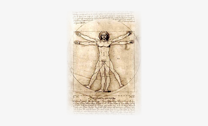 Chelovek - Proportions Of The Human Figure (the Vitruvian Man), transparent png