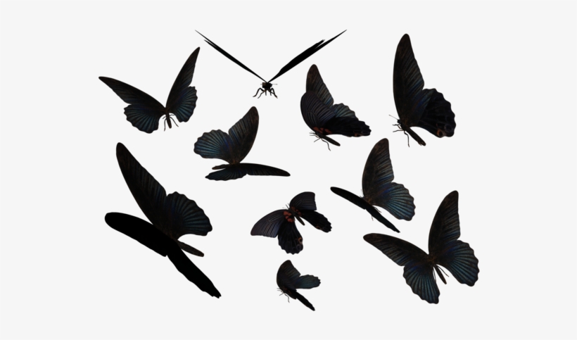 Blue Swallow Tail Butterflies By Madetobeunique On - Butterfly Tumblr Png, transparent png