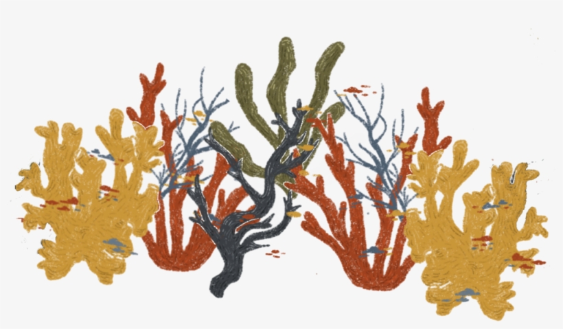 Illustration By Carla Crespo, transparent png