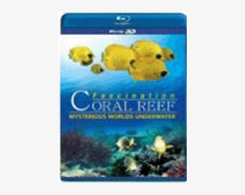 Coral Reef 3d - Fascination Coral Reef 3d Mysterious Worlds Underwater, transparent png