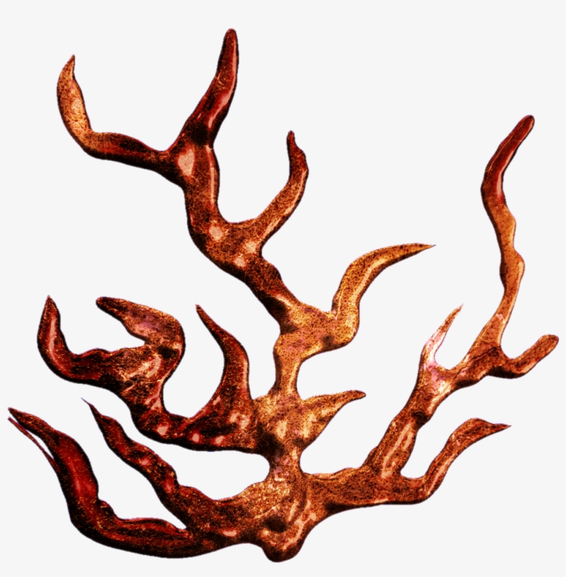 Howlingdreams's Deviantart Favourites - Coral Drawing Transparent Background, transparent png