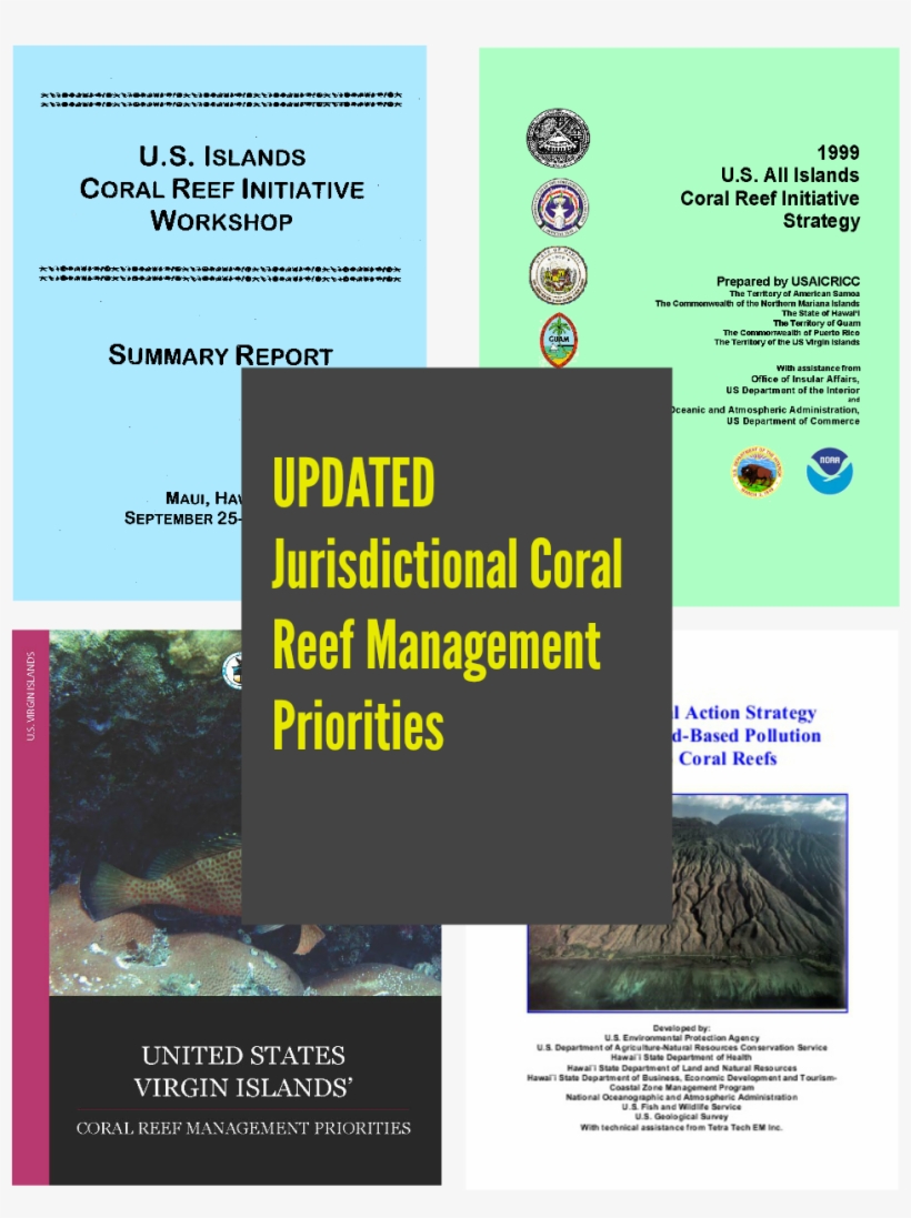 Coral Reef, transparent png