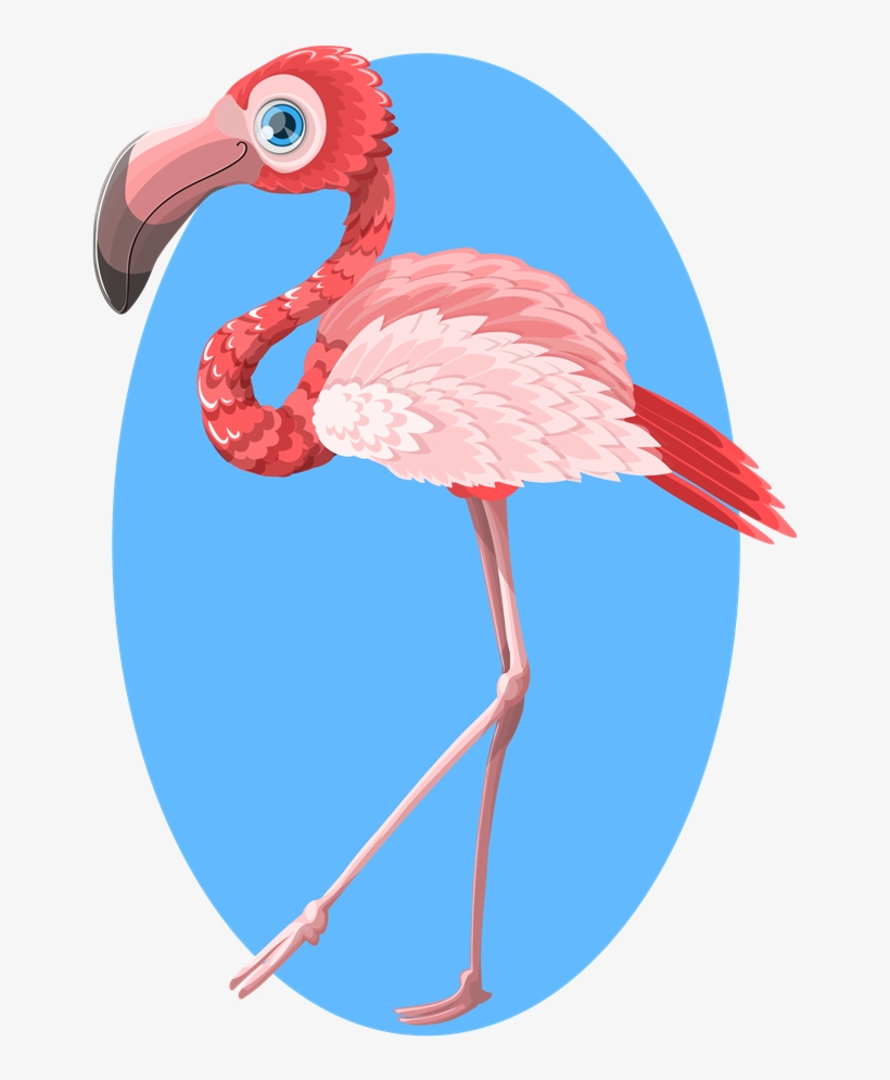 Flamingo Clipart Swimming - Flamingo, transparent png