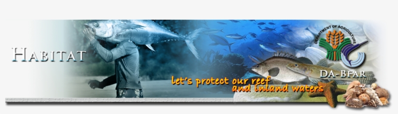 Philippine Coral Reefs - Republic Act No 8550, transparent png