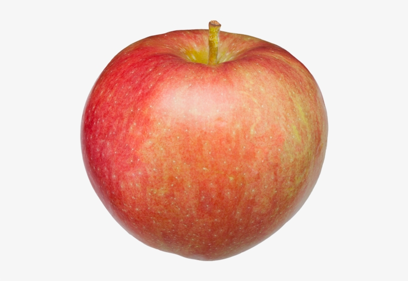 Paula Red Apple, transparent png