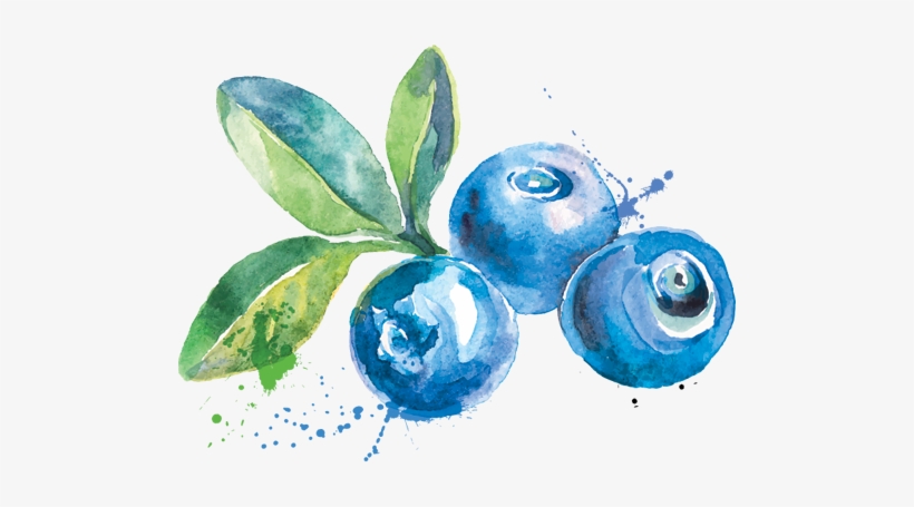 Attainable - Blueberry Watercolor, transparent png