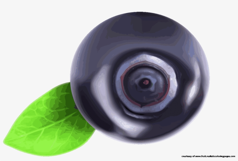 9 Fascinating Blueberry Fruit Clipart Fruit Names Az - Blueberry, transparent png
