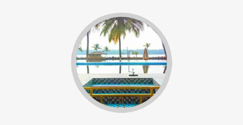Swimming - Palm Tree, transparent png