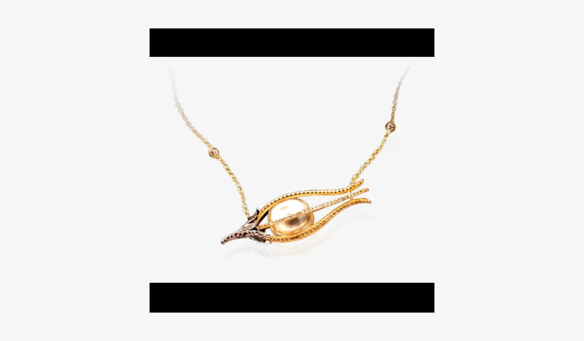 Big 596b03a73c0ab - Necklace, transparent png