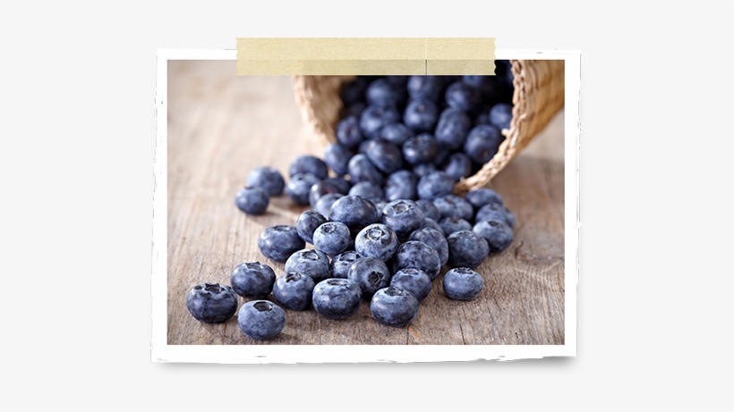 Blueberries - Children Eating Blueberries, transparent png