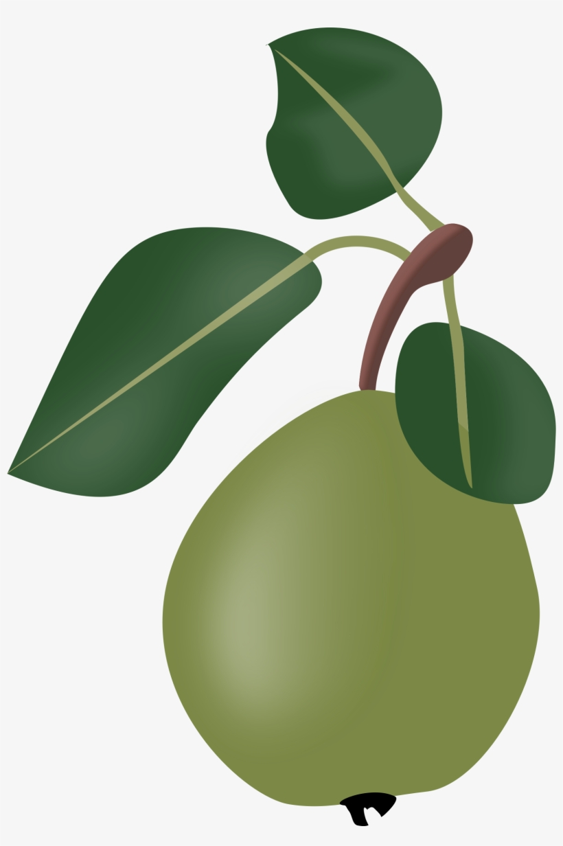 This Free Icons Png Design Of Stew Pear With Leafs, transparent png