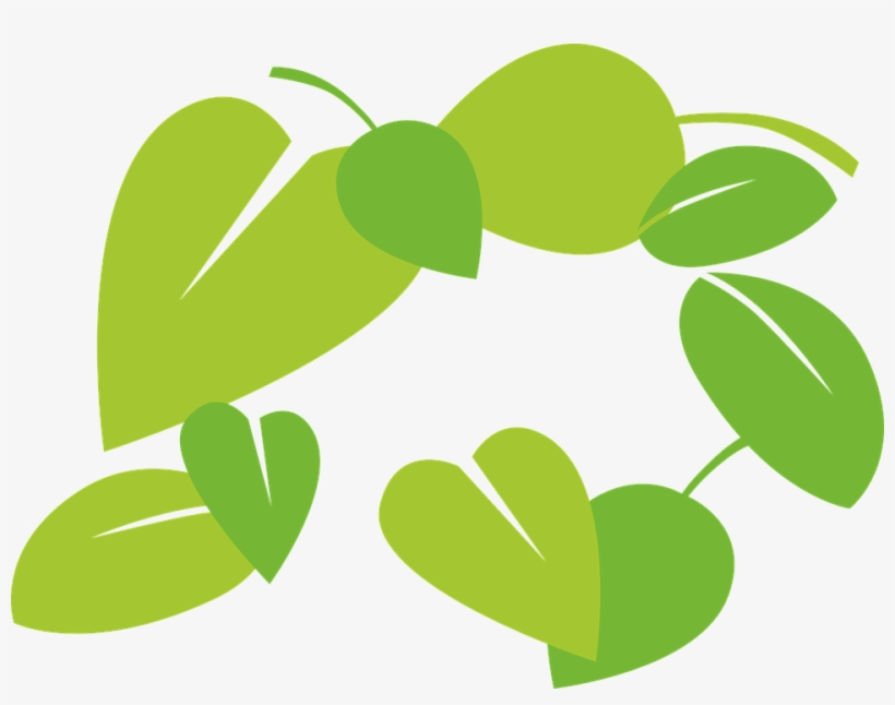 Free Vector Graphic Leaves Green Flora Image On - ภาพ เวก เตอร์ ใบไม้, transparent png