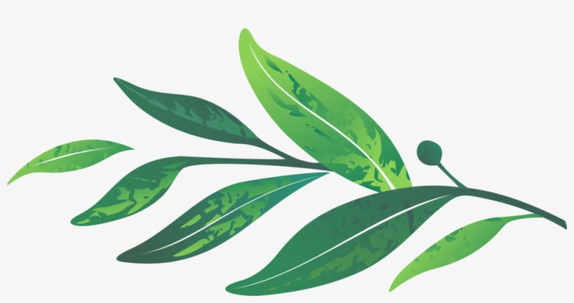 Leaves - Portable Network Graphics, transparent png