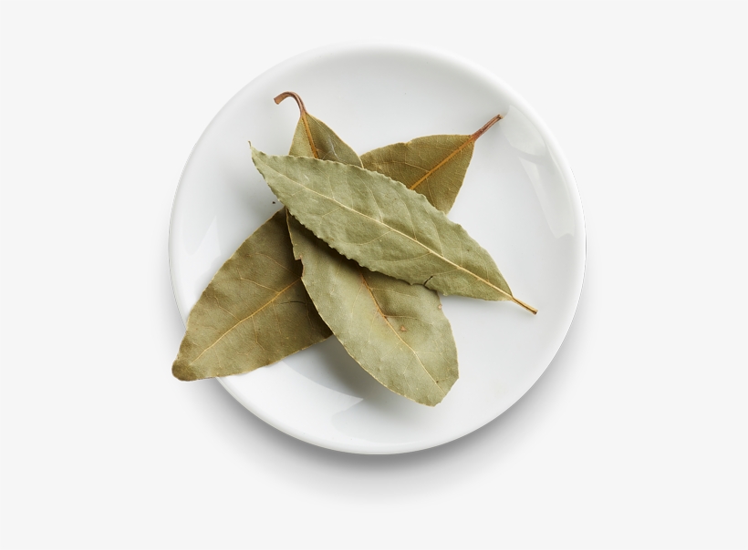 Laurel Leaves - Doypack, transparent png