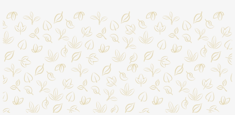 Related - Wallpaper, transparent png