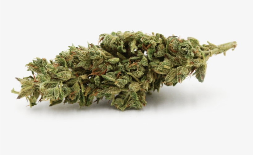 Blue Cookies - - Cookie, transparent png