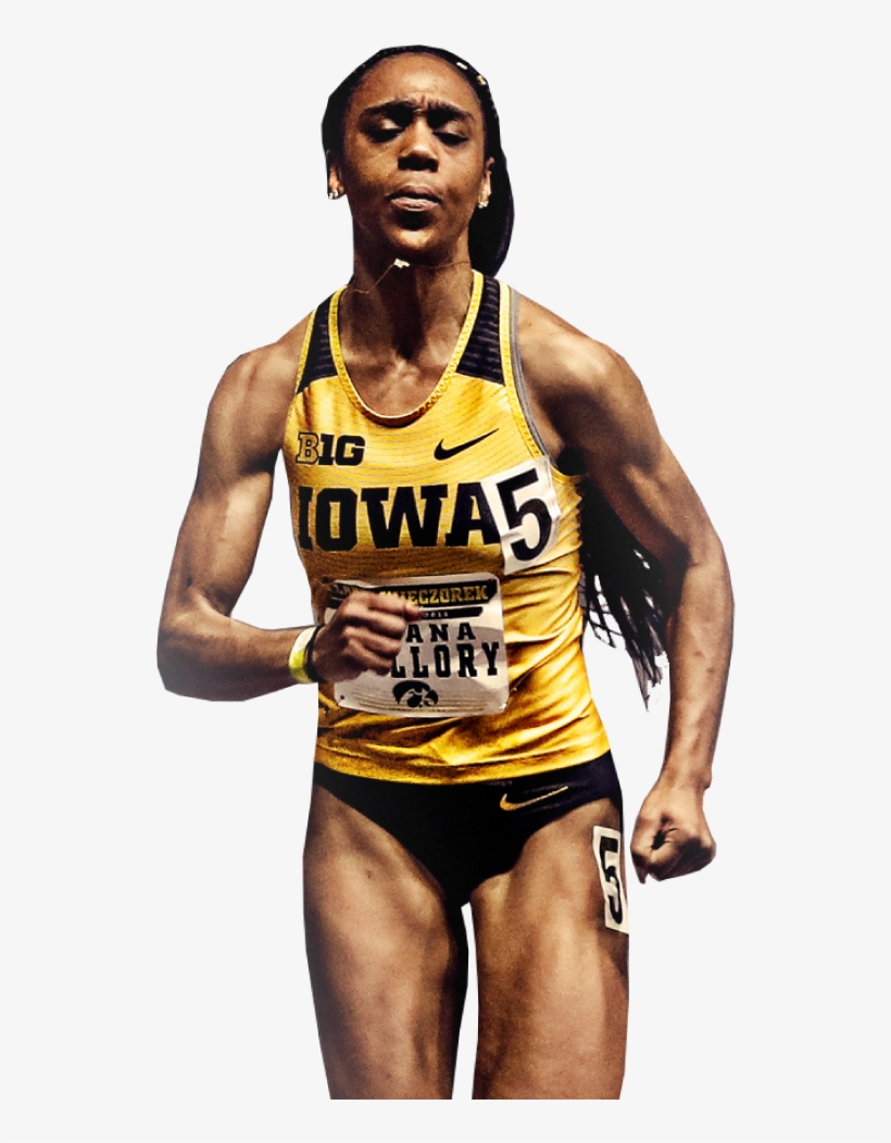 University Of Iowa, transparent png