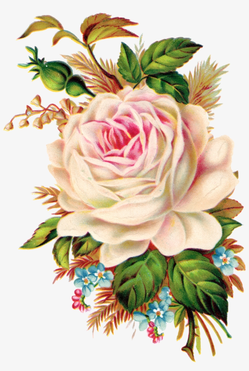 Neste Blog Voc Poder Encontrar Lindas Imagens - Vintage Rose Clip Art, transparent png