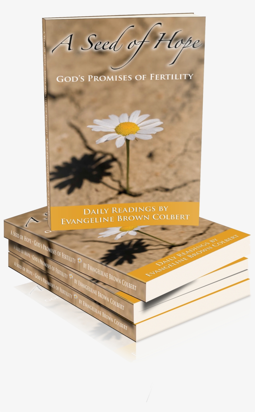 Ash Cover Stack Fiverr - Seed Of Hope: God's Promises Of Fertility [book], transparent png