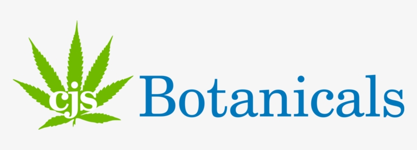 Reliance Institute Of Life Sciences, transparent png