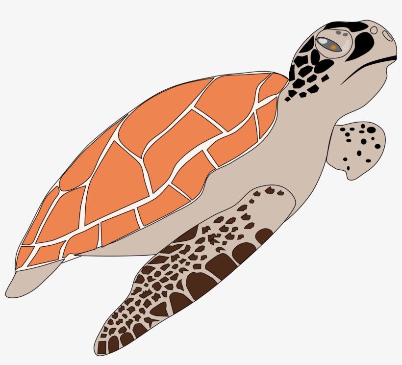This Free Icons Png Design Of Sea Turtle, transparent png