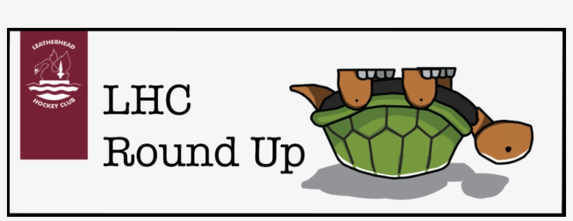 Turtle - Love, transparent png