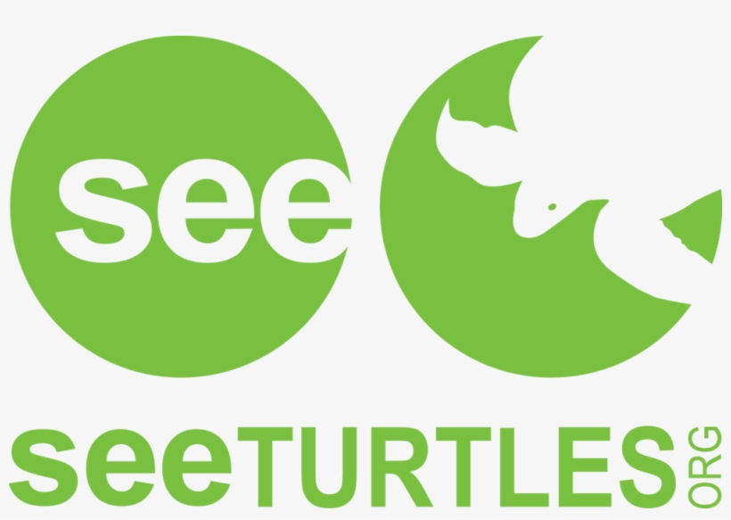Seeturtleshighres - See Turtles Logo, transparent png