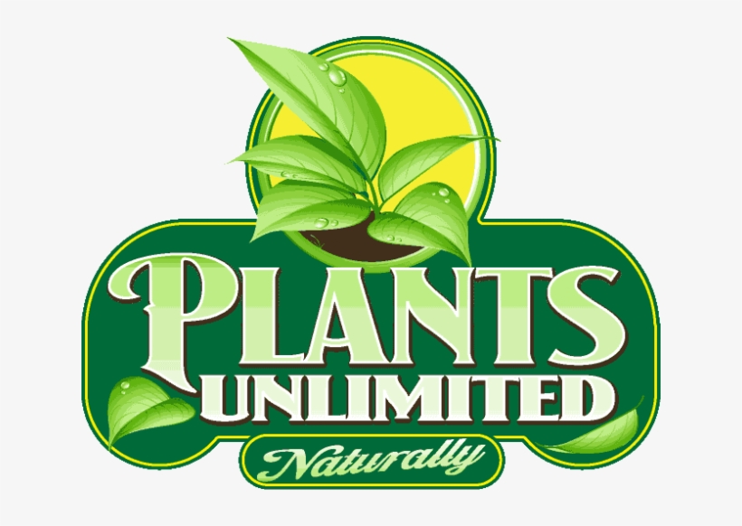 A Shop Sales Assistant And A Perennials Manager - Logo Plants, transparent png