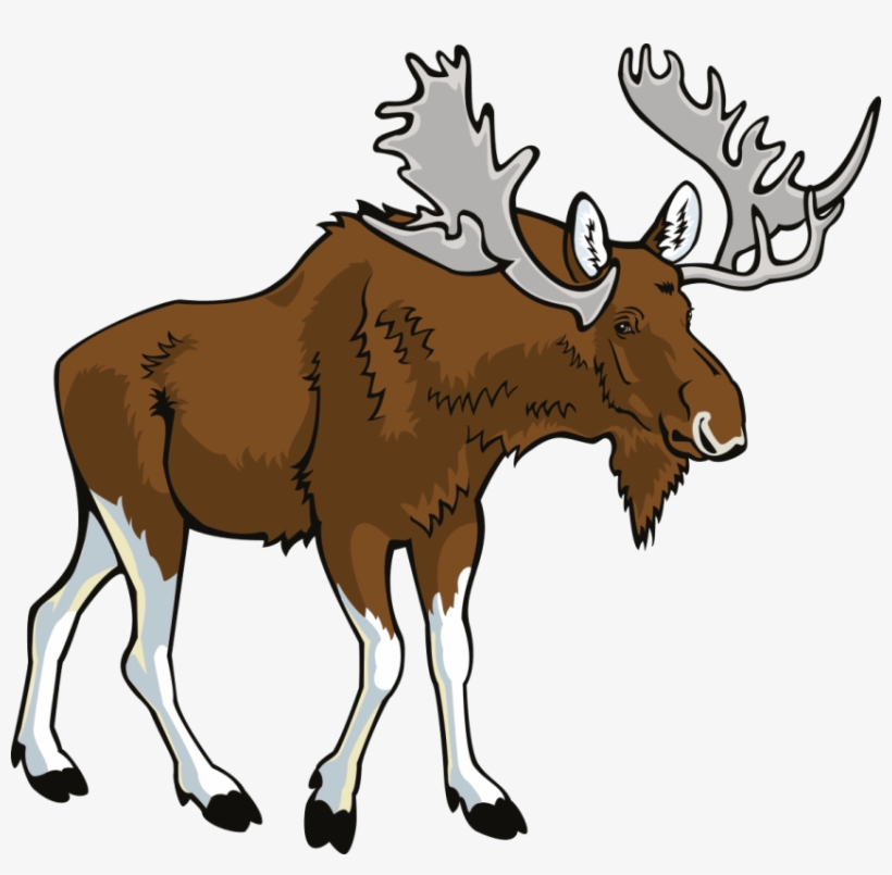 Free Png Moose Png Images Transparent - Moose Clipart, transparent png