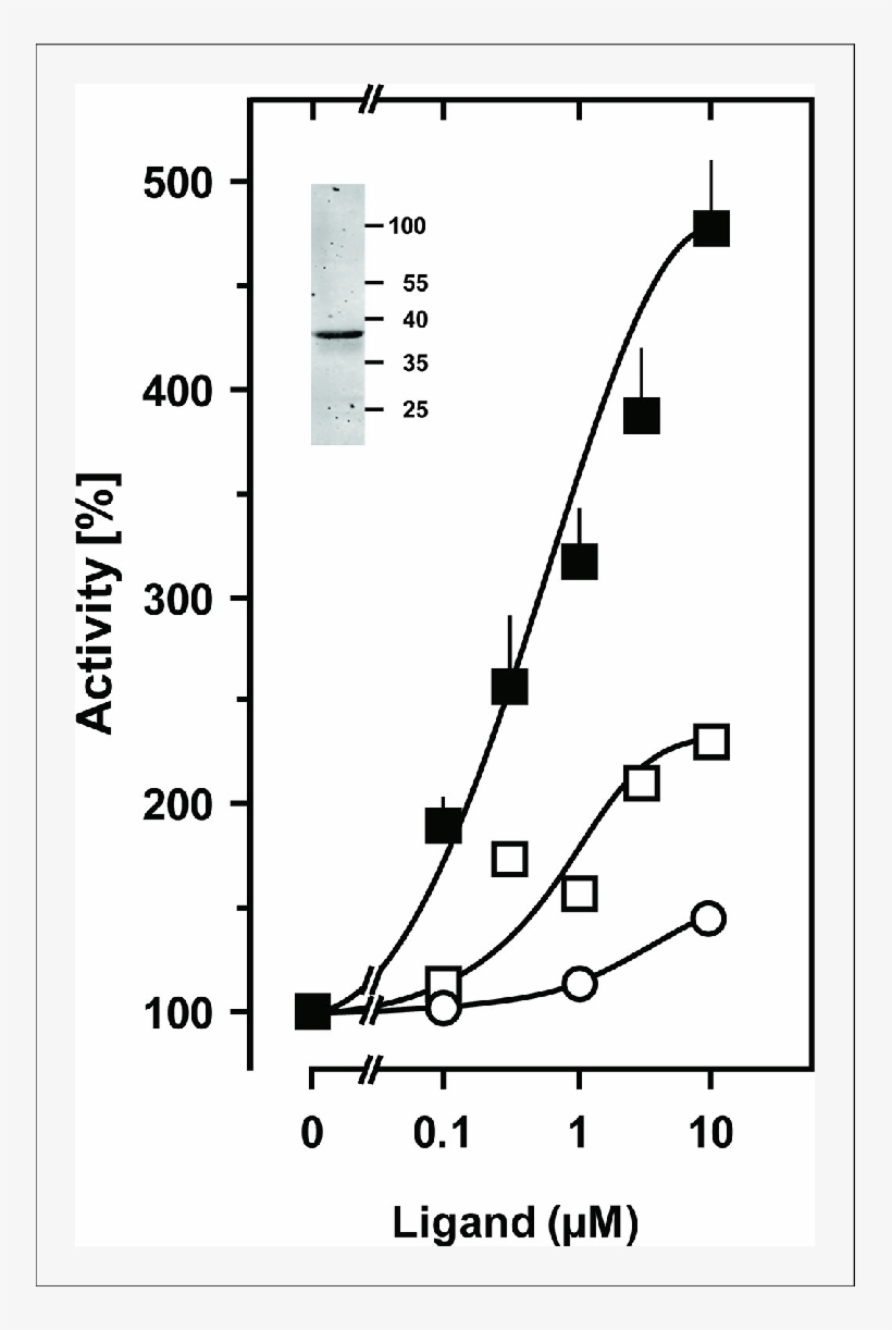 Stimulation Of The Chimera Cqss 1 181 F166l Rv1625c - Ligand, transparent png