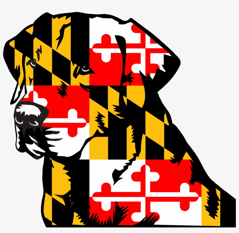 Maryland 3'x5' Flag Usa United States, transparent png