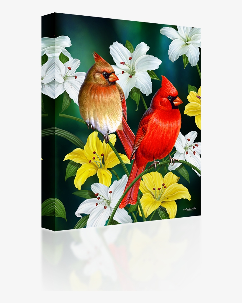 Cardinals - Cardinal Bird With Flowers, transparent png