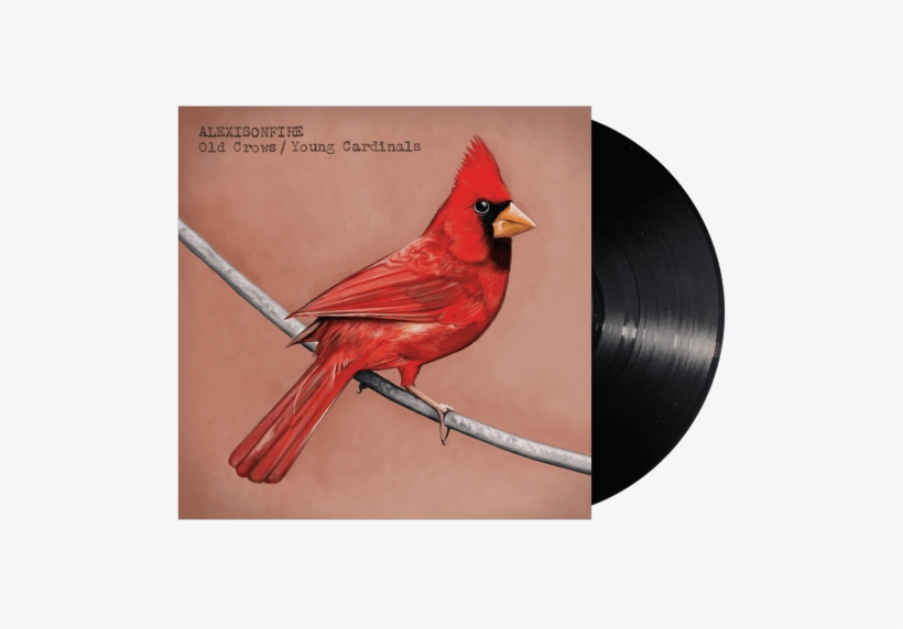 Old Crows / Young Cardinals - Old Crows Young Cardinals, transparent png