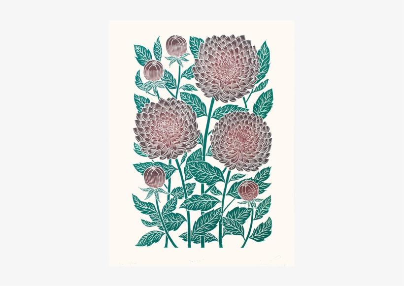 Dahlias - Lili Arnold, transparent png