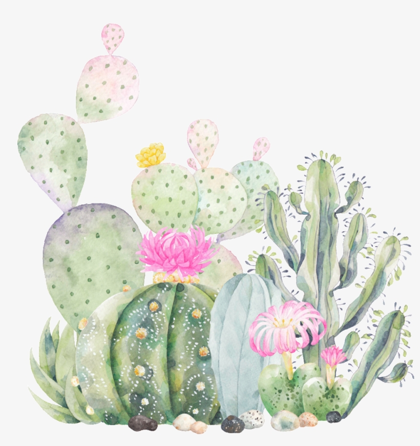 Hand Painted Cactus Plant Png Transparent - Succulent Business Card Designs Templates, transparent png
