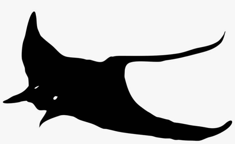 Jpg Freeuse Download Sting Ray Free On Dumielauxepices - Sting Ray Clipart, transparent png