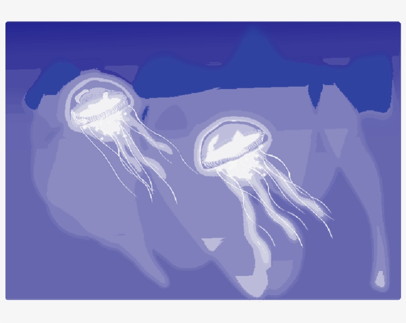 Mb Image/png - Jellyfish, transparent png