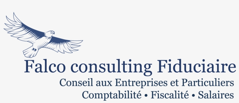 Falco Consulting S - Cool Sayings And Quotes, transparent png
