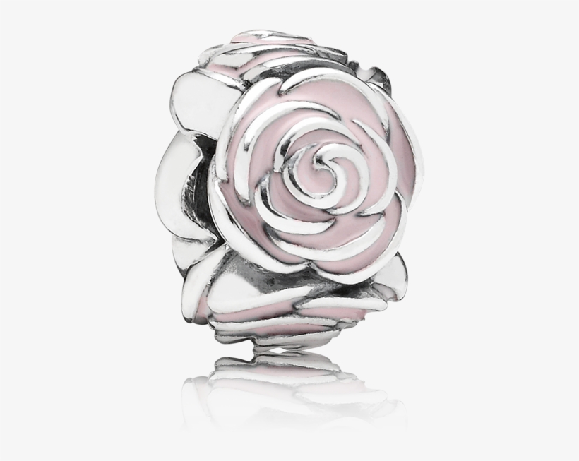£35 - Pink Rose Pandora Charm, transparent png