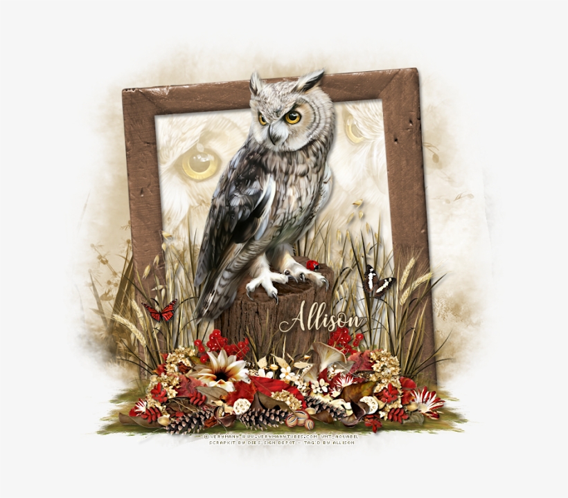 For This Next Tag I Used The Adorable Hercules Tube - Eastern Screech Owl, transparent png