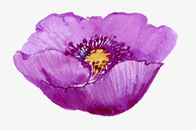 Este Gráficos Es Pintado A Mano De La Flor Morada Png - Flower, transparent png