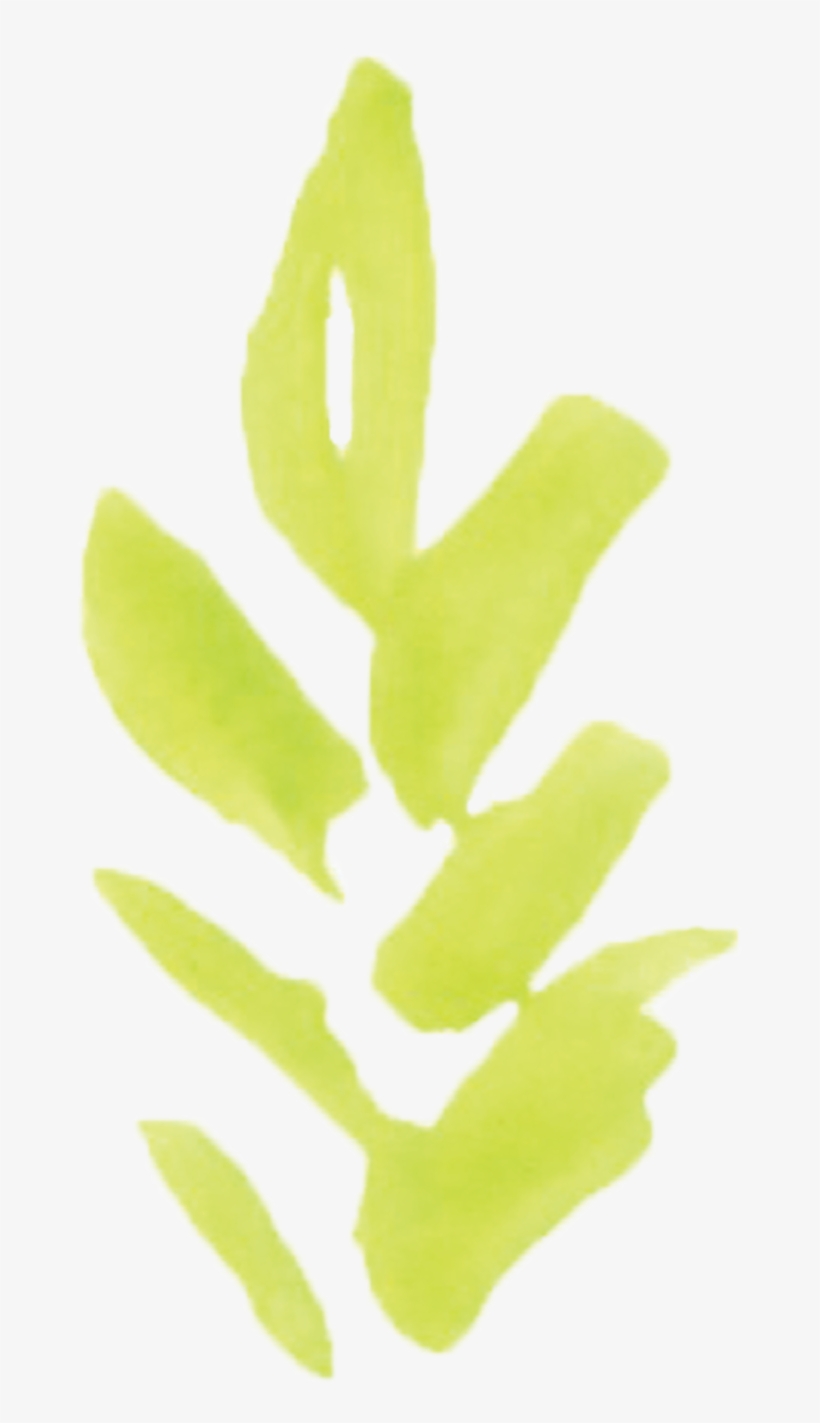 Watercolor Painting, transparent png