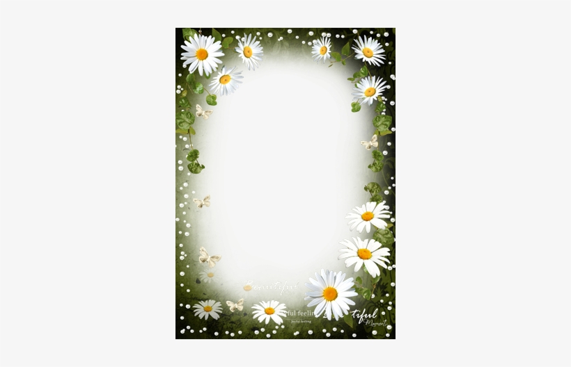 Tenderness Of White Daisies - Лекарства Из Улья [book], transparent png