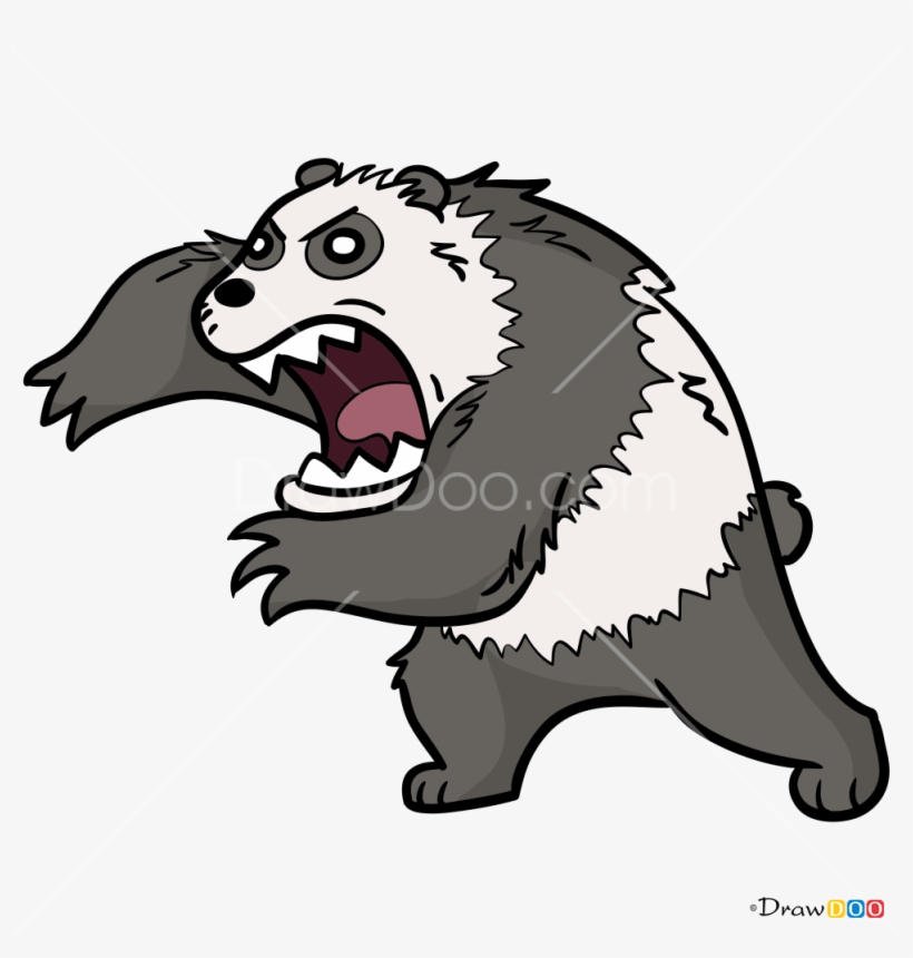 Giant Panda, transparent png