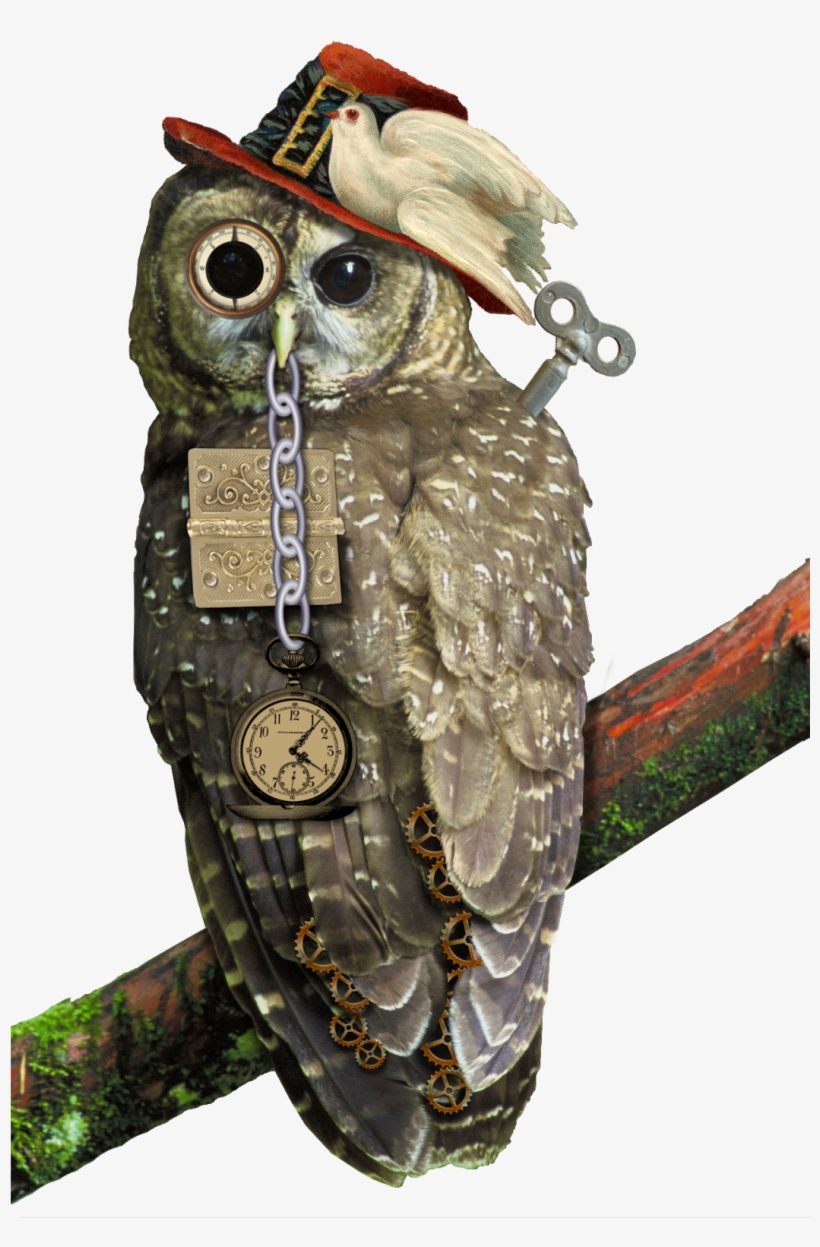 Here Is My Newest Steampunk Image - Perched Northern Spotted Owl Journal: Take Notes, Write, transparent png
