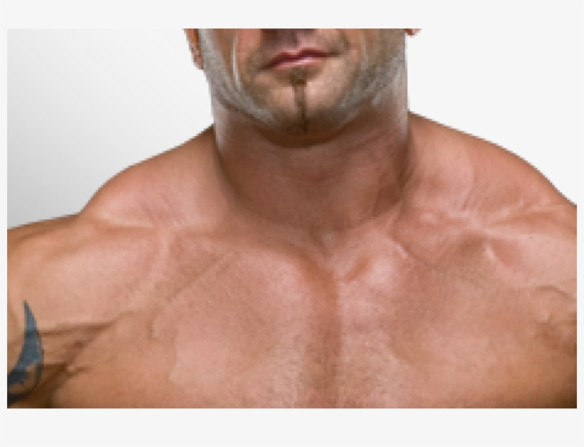 In His First Wwe Match Since 2010, Batista Might Have - Batista, transparent png